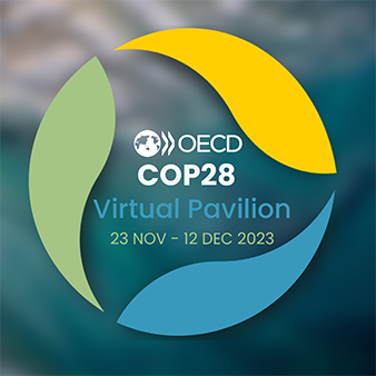 COP28 Virtual Pavilion visuals template-20 (1)
